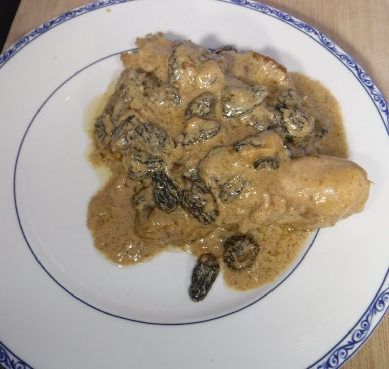 Creamy Braised Chicken with Morels Greasy Little Birds